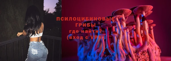 дживик Алексин