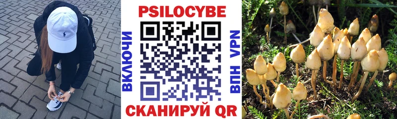 Галлюциногенные грибы мицелий  Похвистнево 
