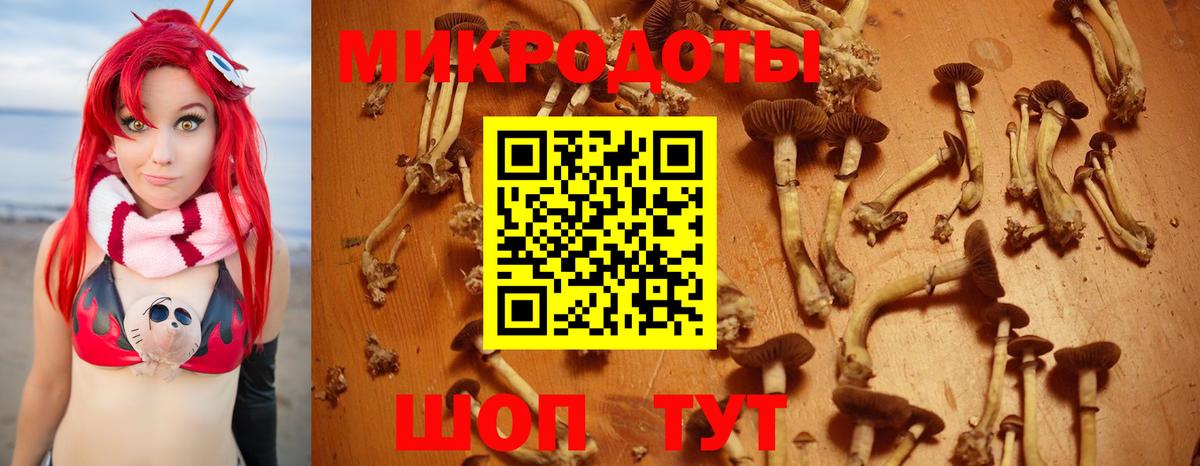 Галлюциногенные грибы мицелий  Вход с VPN  Похвистнево 