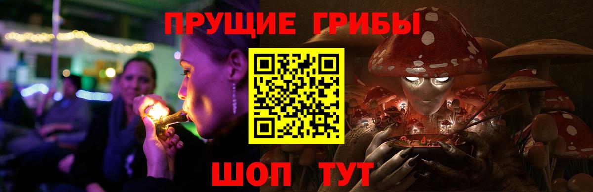 Псилоцибиновые грибы мицелий Похвистнево